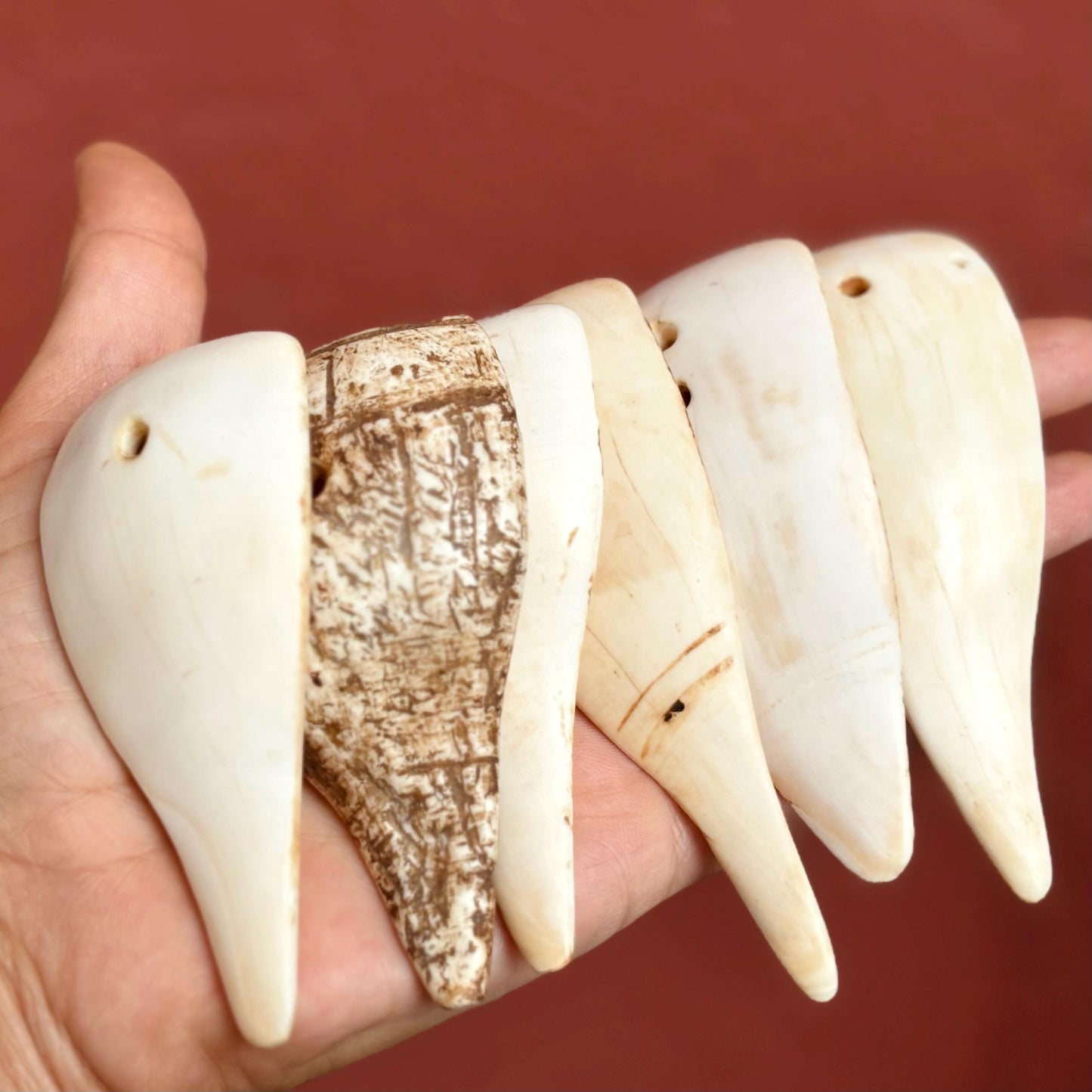 Coquillage ancien Nagaland, Pendentif coquillage vintage, Antiquités Inde Naga, Bijoux Nagaland, Bijou ethnique tribal ancien, Conque