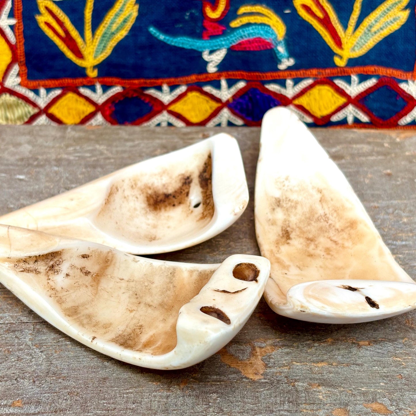 Coquillage ancien Nagaland, Pendentif coquillage vintage, Antiquités Inde Naga, Bijoux Nagaland, Bijou ethnique tribal ancien, Conque